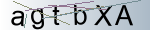 Captcha anti-spam
