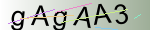 Captcha anti-spam