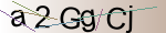 Captcha anti-spam